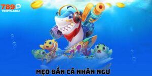 meo-ban-ca-nhan-ngu-789p