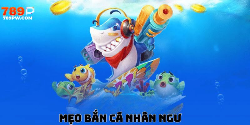 meo-ban-ca-nhan-ngu-789p