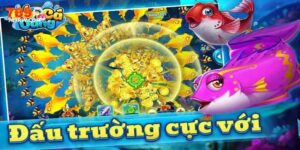 meo-ban-ca-vang-h5-789p