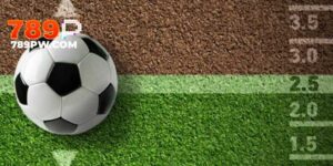 soi-keo-tai-xiu-bong-da